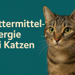 Futtermittelallergie bei Katzen